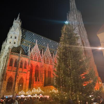 Till Lindemann U Beču 29. 11. 2025 5